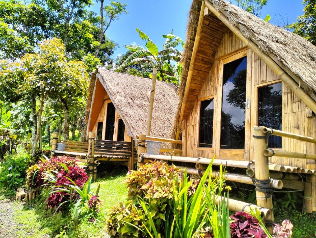 Wanagiri Campsite Gitgit Экстерьер фото
