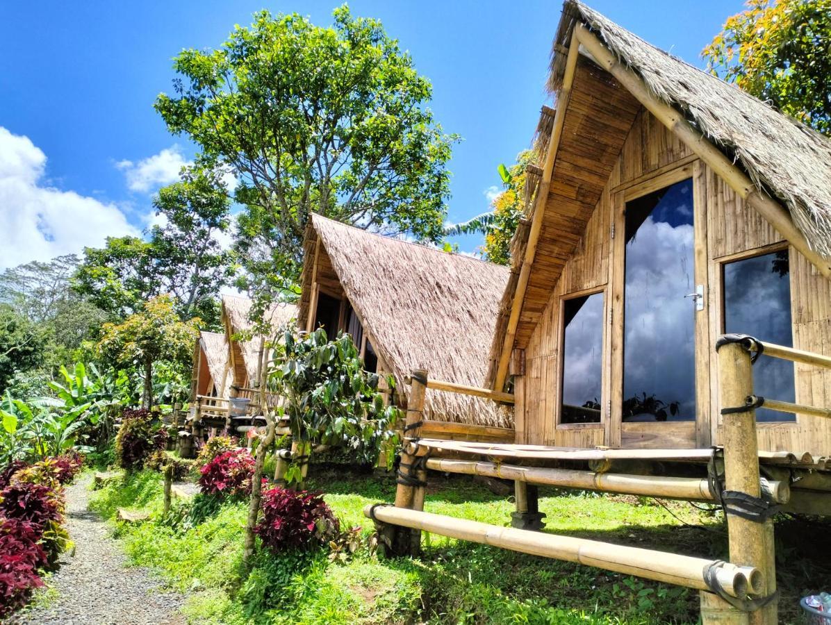 Wanagiri Campsite Gitgit Экстерьер фото