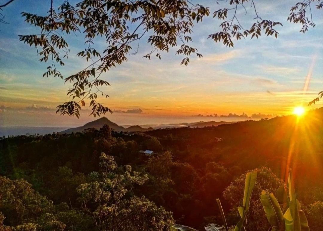 Wanagiri Campsite Gitgit Экстерьер фото